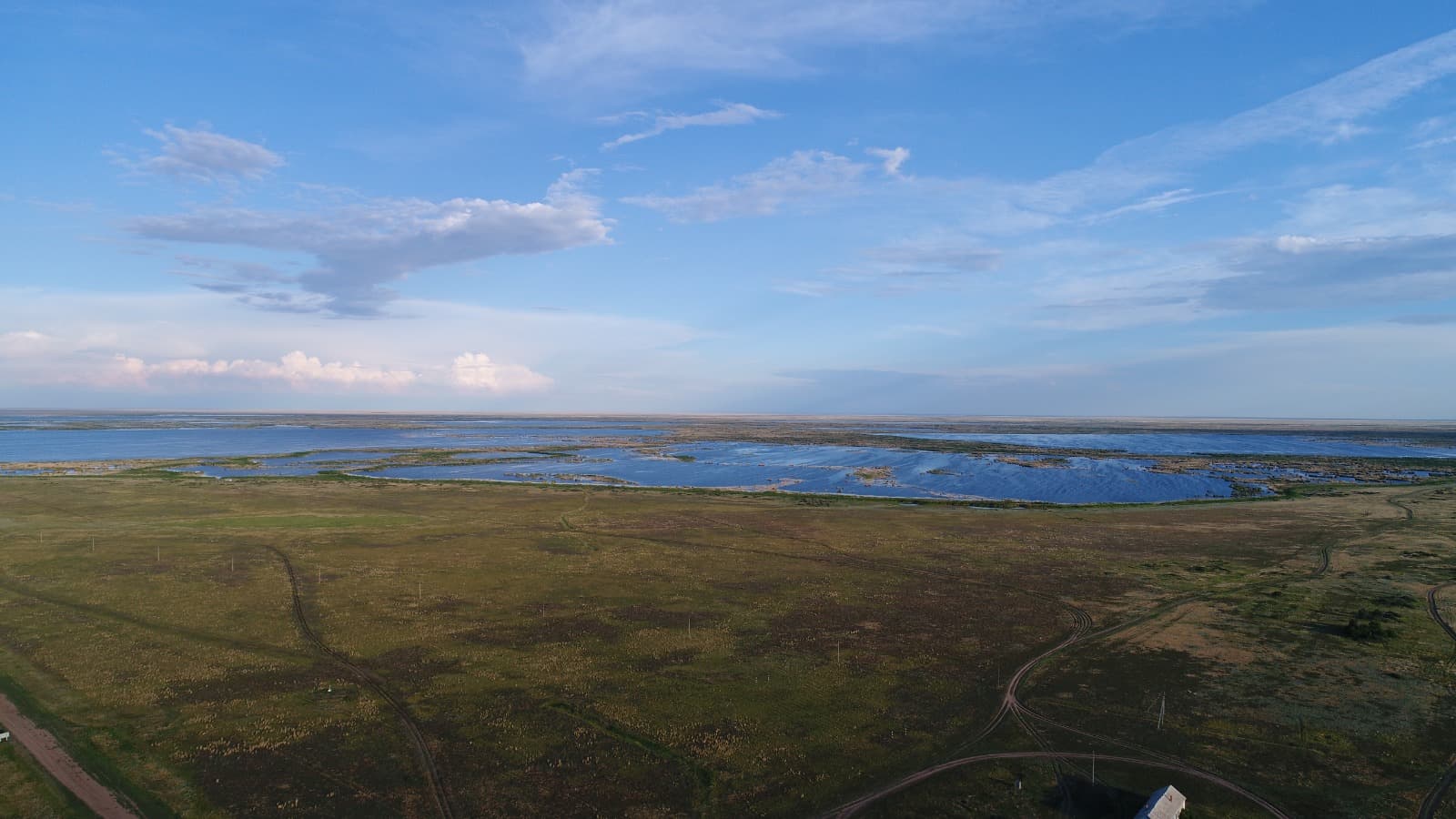 Where the Steppe Meets Millions of Wings