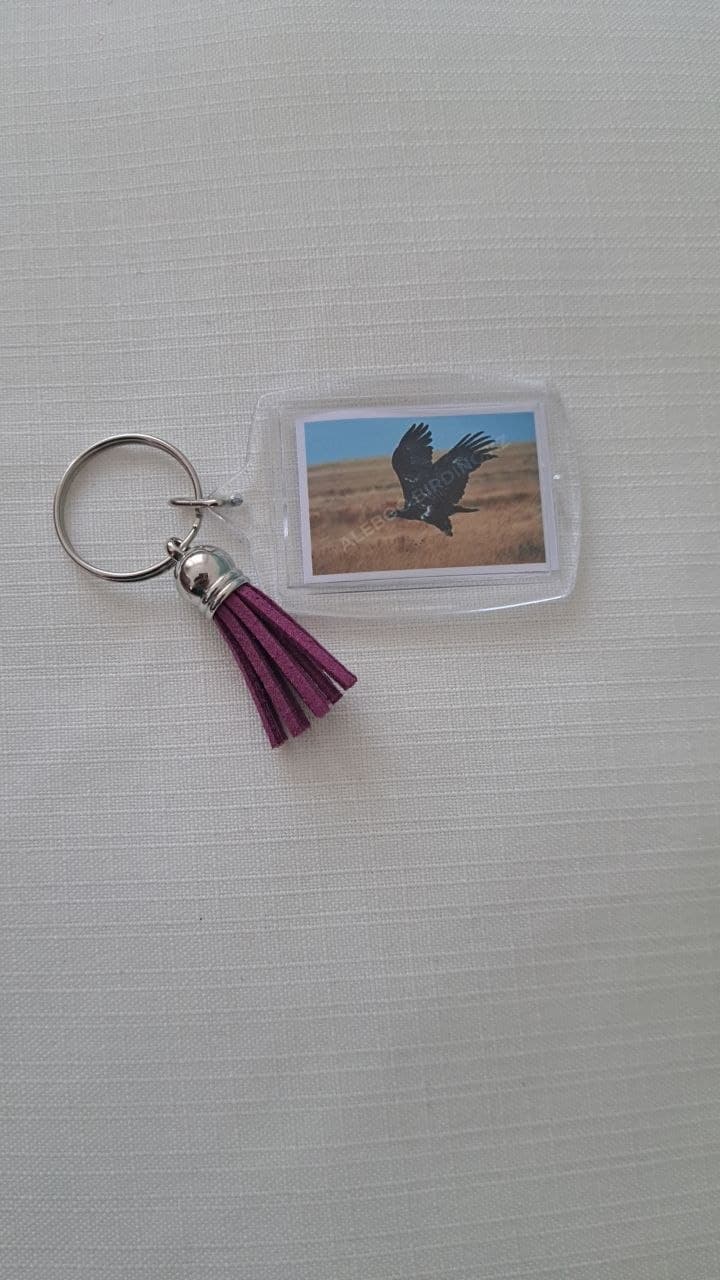 Acrylic keychain with a photo of a steppe eagle